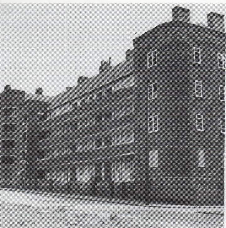 Ashfield Gardens Lost Tribe of Everton